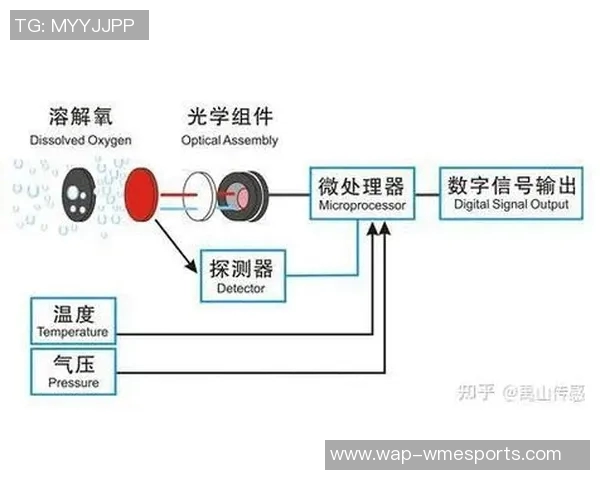 王者荣耀战术解析BLG盯防体系的核心策略与执行细节探讨实时数据