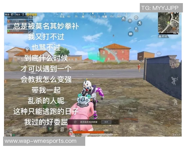 刘娜亲自揭秘和平精英游戏技巧与心得分享，助你快速提升战斗力